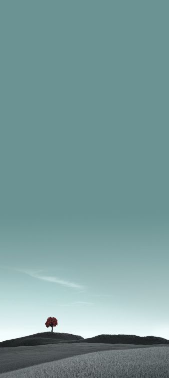 Cloud, Electric Blue, Cumulus, Rechteck, Horizont. Wallpaper in 1080x2400 Resolution