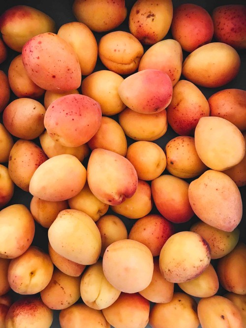 Image yellow and red round fruits