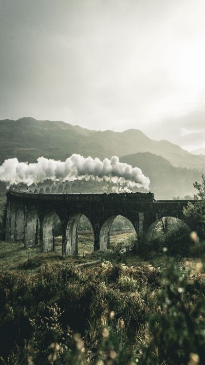 Tren, Expreso de Hogwarts, Harry Potter, el Jacobita, Naturaleza. Wallpaper in 2160x3840 Resolution