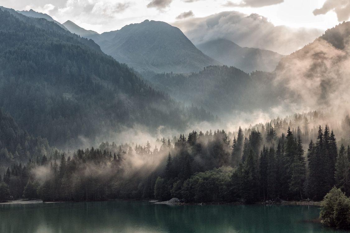 Grüne Bäume in Der Nähe Von See Und Berg Tagsüber. Wallpaper in 3840x2560 Resolution