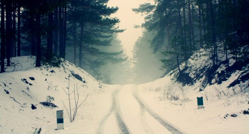 Image snow covered road and trees during daytime