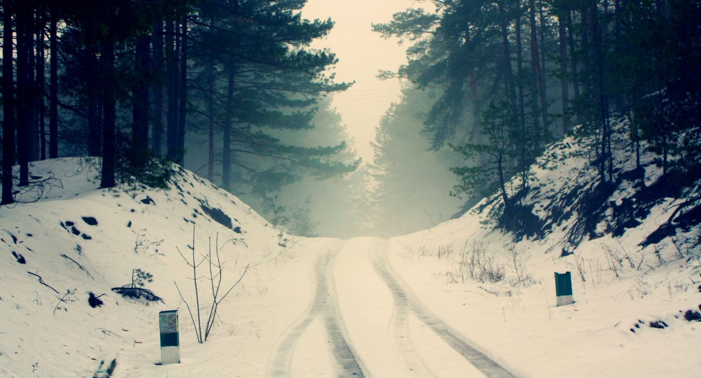 snow covered road and trees during daytime