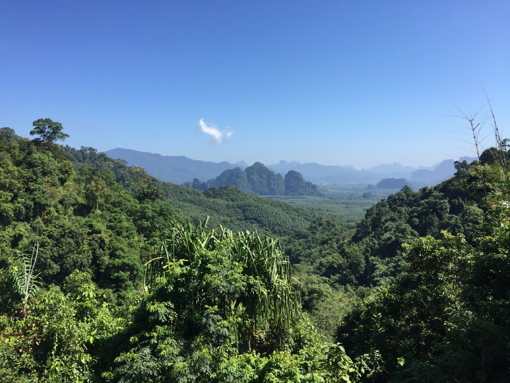 Vegetation, Natur, Natürlichen Umgebung, Bergigen Landschaftsformen, Naturlandschaft. Wallpaper in 3264x2448 Resolution