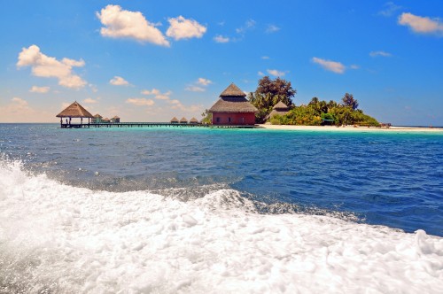 Image brown wooden house on beach during daytime