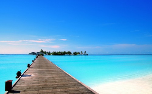 Image brown wooden dock on blue sea under blue sky during daytime