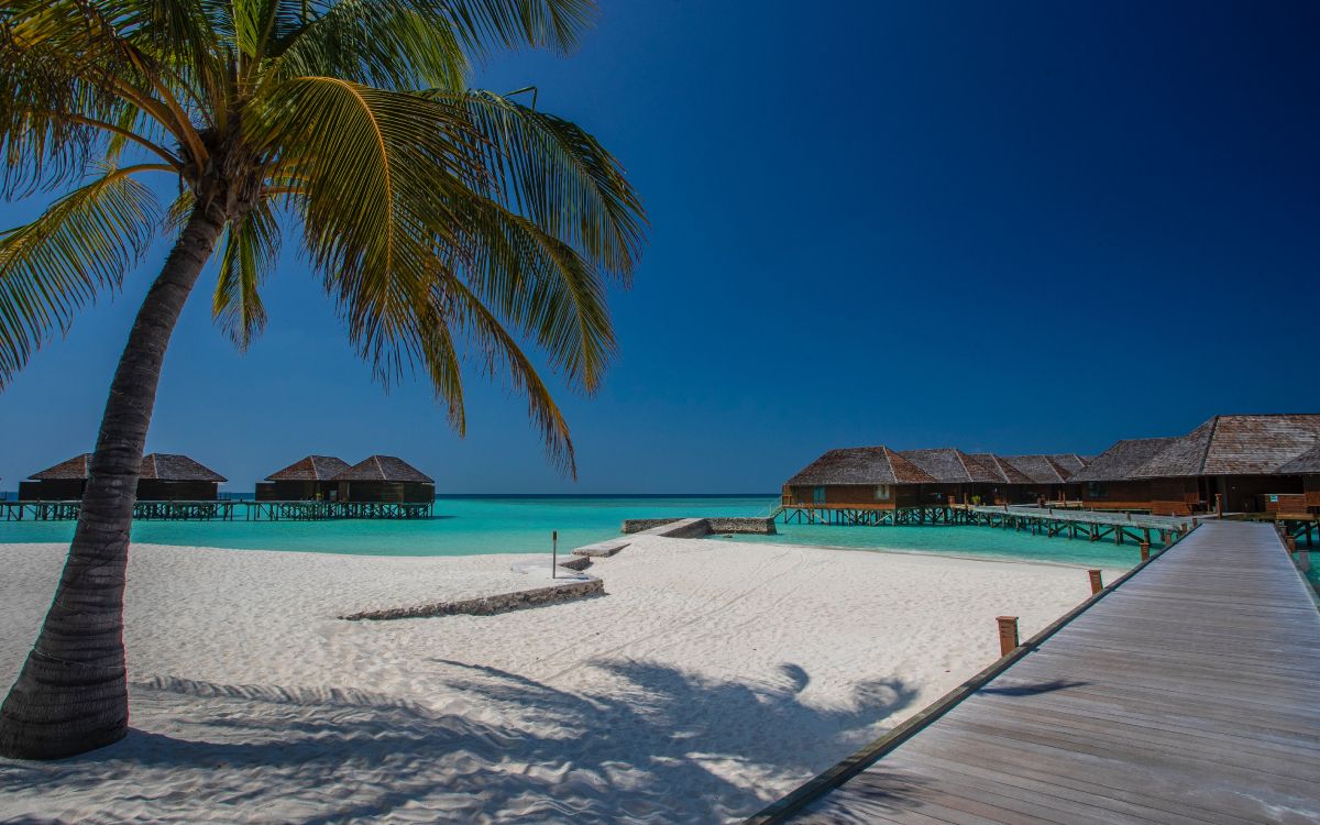 Strand, Baum, Meer, Tropics, Urlaub. Wallpaper in 5238x3272 Resolution