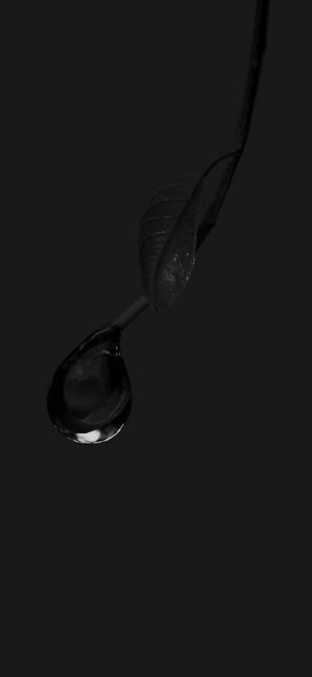 Schwarz Und Weiß, Wasser, Tafelgeschirr, Drinkware, Flüssigkeit. Wallpaper in 1080x2340 Resolution