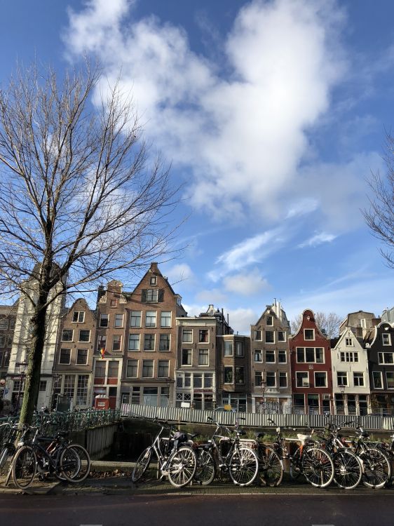 Amsterdam, Android, Meizu m6 Note, Rad, Fahrrad Reifen. Wallpaper in 1536x2048 Resolution