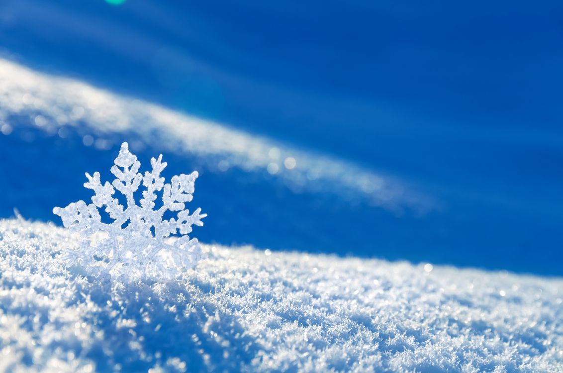 冬天, 冻结, 雪花, Fir, 天空 壁纸 4928x3264 允许
