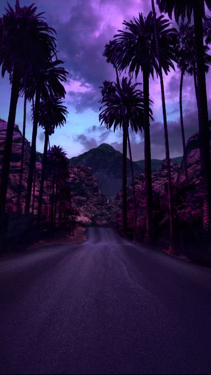 Baum, Licht, Cloud, Blatt, Purpur. Wallpaper in 4320x7680 Resolution