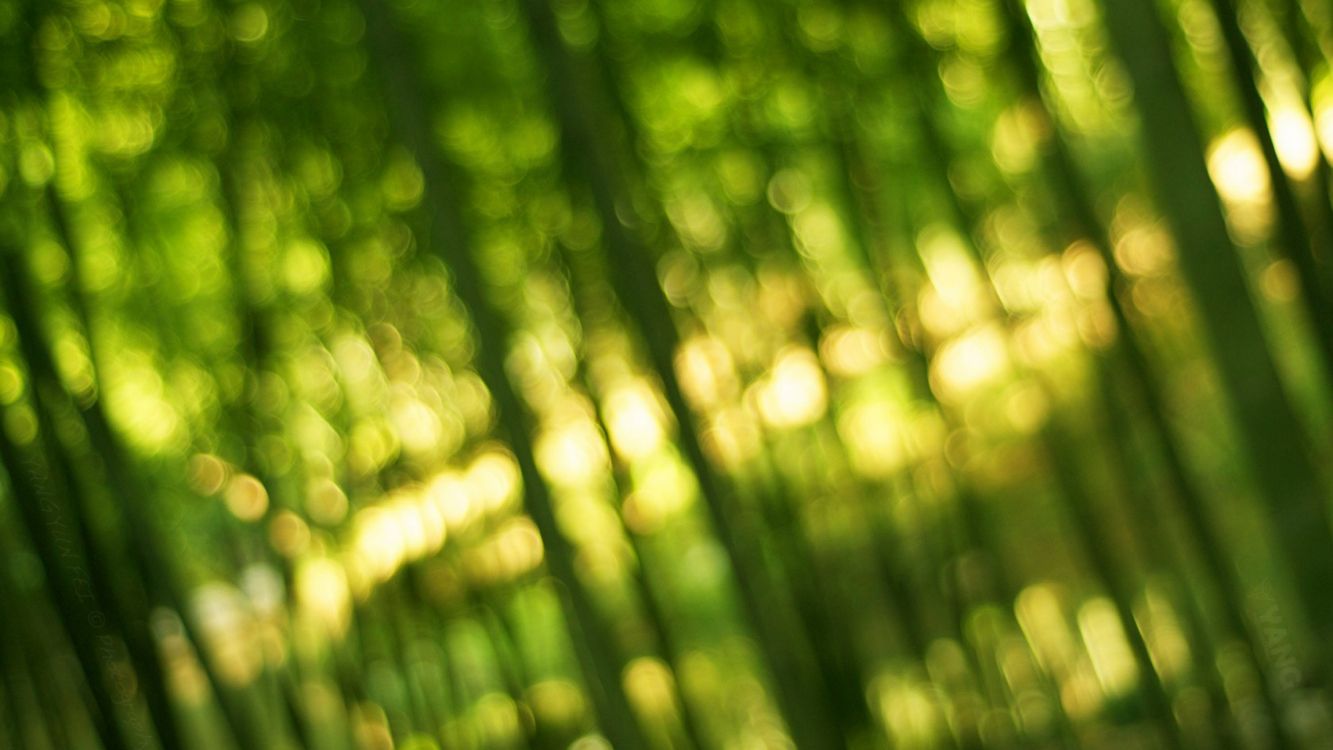 Green and Yellow Light Bokeh. Wallpaper in 3840x2160 Resolution