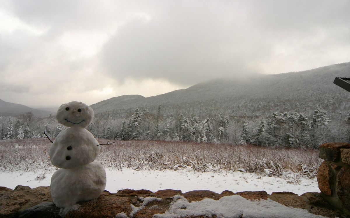 white polar bear on snow covered ground during daytime