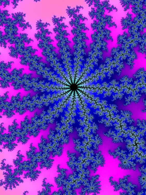 Illustration Florale Violette et Blanche. Wallpaper in 1536x2048 Resolution