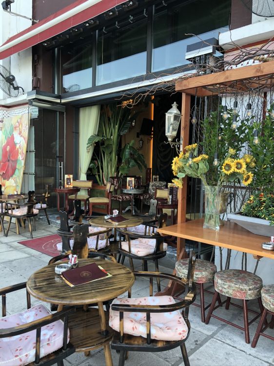 Table, Mobilier, Flowerpot, Plante D'intérieur, Restaurant. Wallpaper in 1536x2048 Resolution