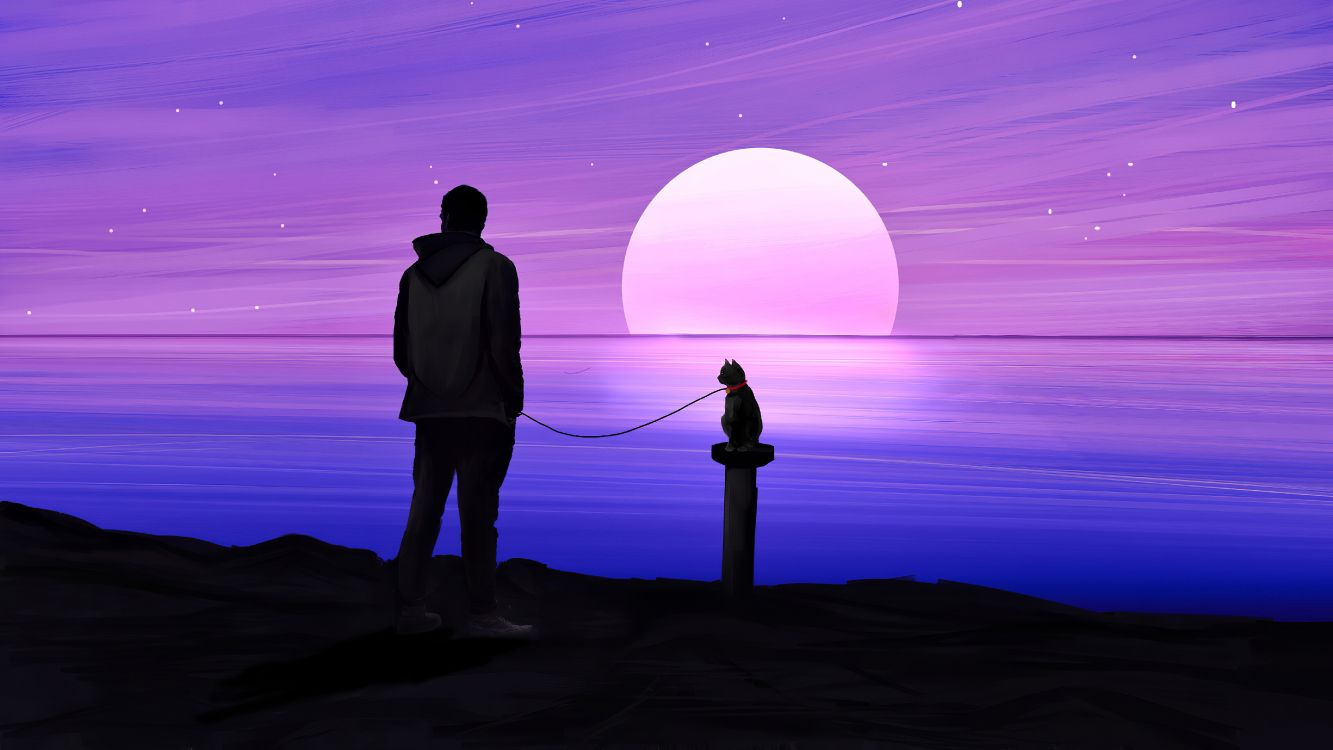 黎明 剪影 天空 地平线 紫色的高清壁纸 其他图片 桌面背景和图片