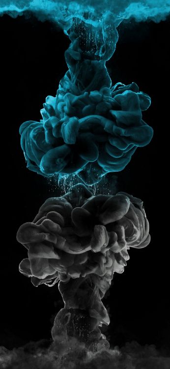 Plante Terrestre, Pétale, Champignon, Art. Wallpaper in 1407x3045 Resolution