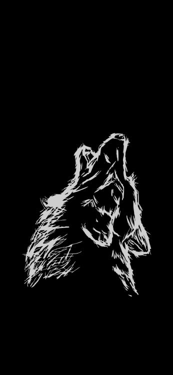 Schwarz Und Weiß, Visual Arts, Carnivore, Kiefer, Felidae. Wallpaper in 1080x2340 Resolution