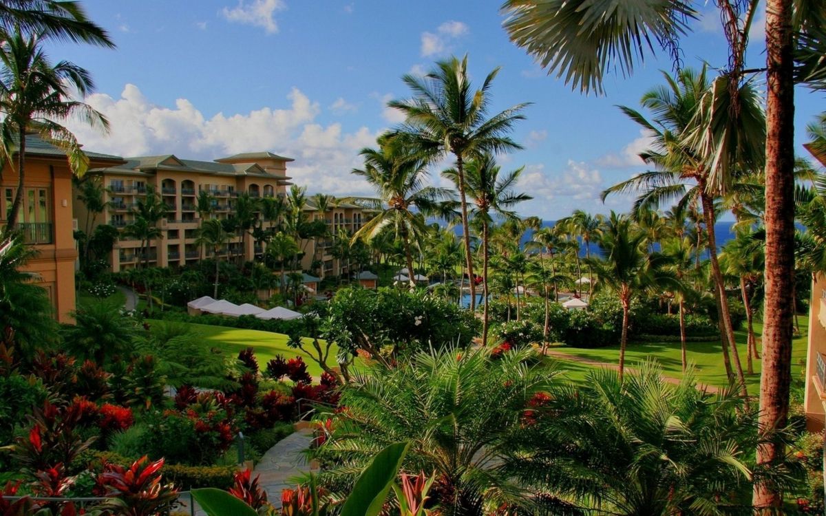 Palmeras Verdes Cerca Del Edificio de Hormigón Marrón Durante el Día. Wallpaper in 2560x1600 Resolution