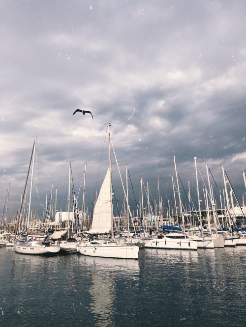 Image Sail, cloud, watercraft, liquid, boat