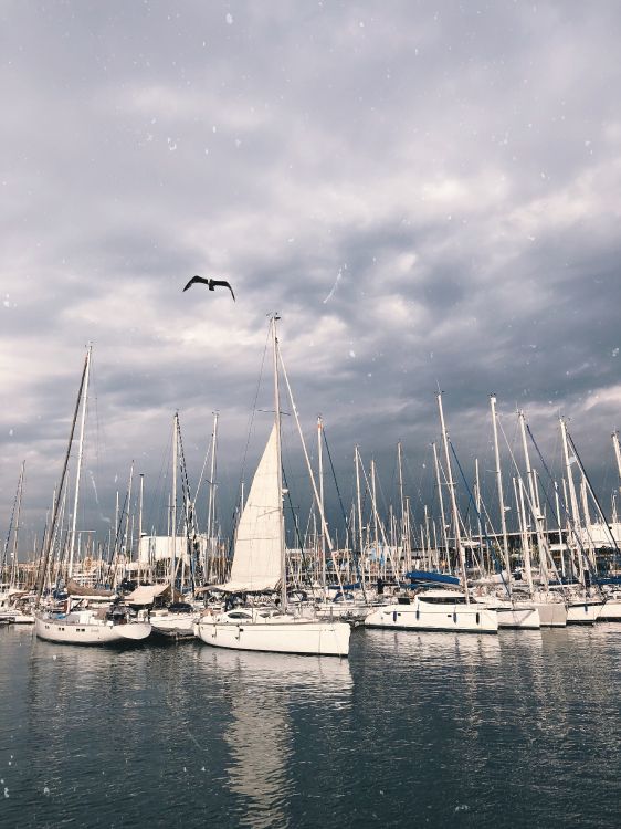 Sail, cloud, watercraft, liquid, boat