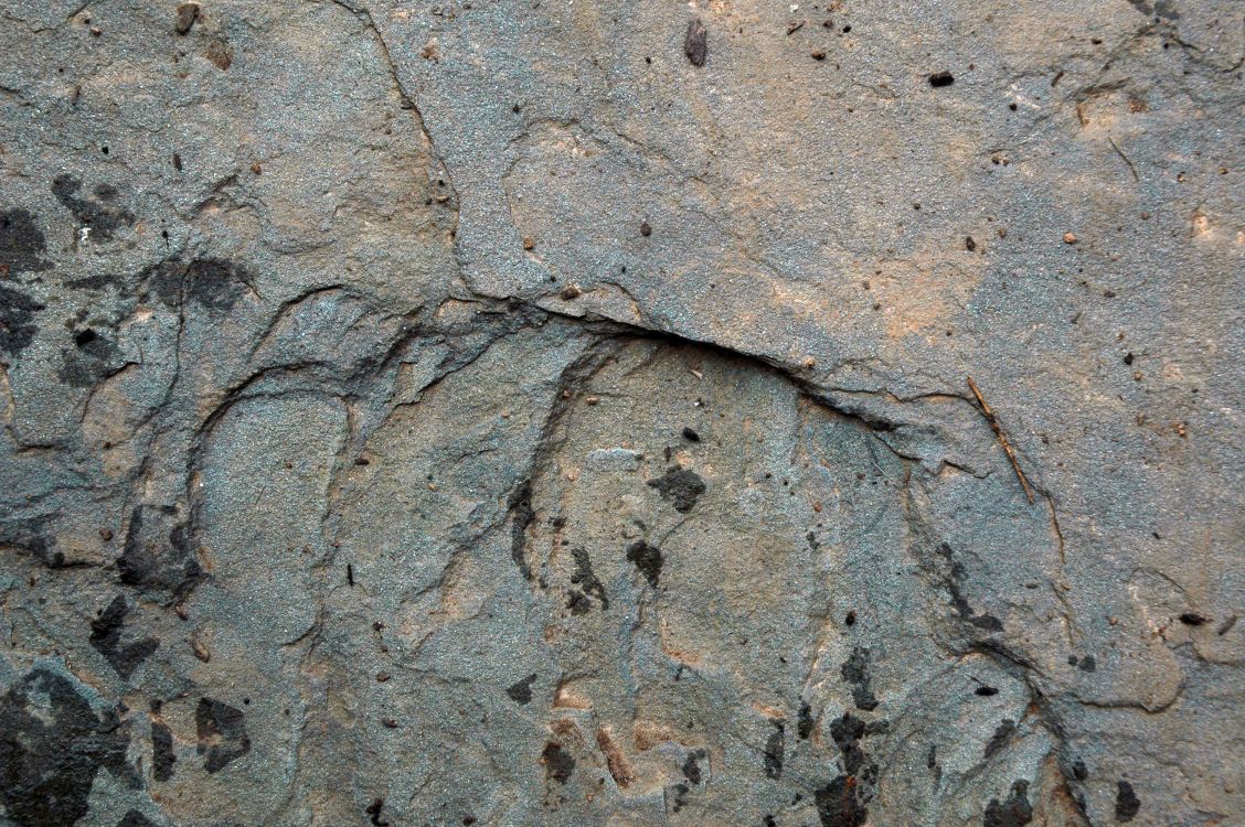 Fragmento de Piedra Marrón y Negra. Wallpaper in 3008x2000 Resolution