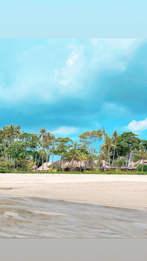 Image water, tree, woody plant, sand, tropics