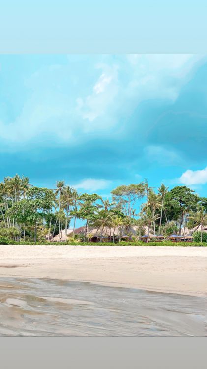 water, tree, woody plant, sand, tropics