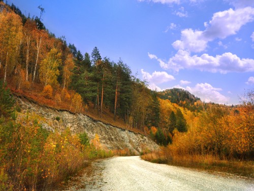 Image green and brown trees near mountain under blue sky during daytime