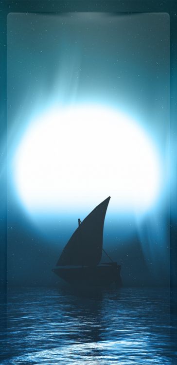 Agua, Orca, Cetáceos, Barco, Ambiente. Wallpaper in 1080x2220 Resolution