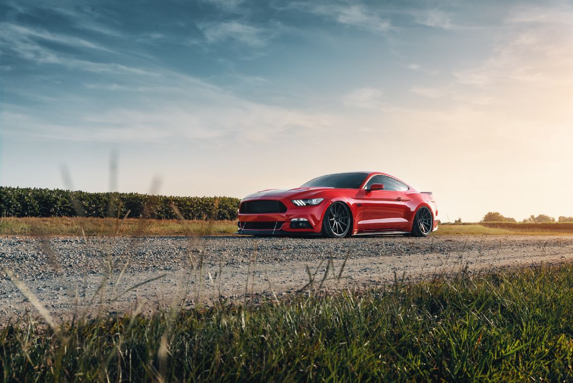 red chevrolet camaro on brown grass field under white clouds during daytime