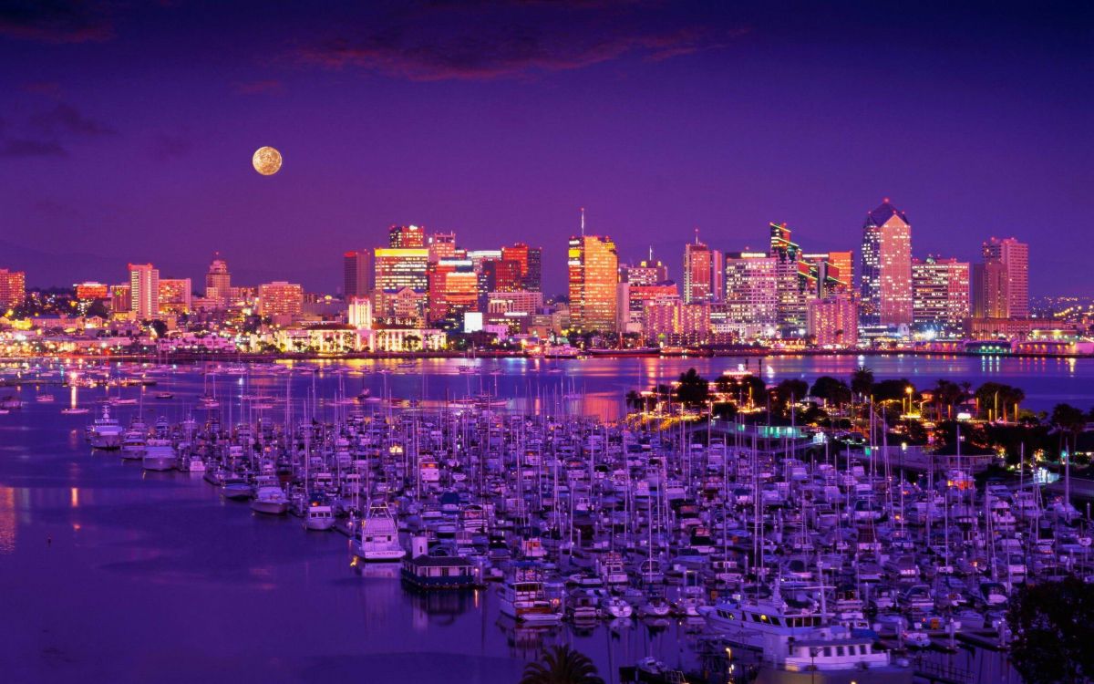 city skyline during night time