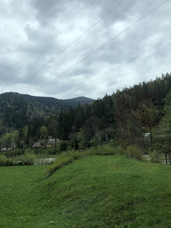 Karpaten, Hochland, Vegetation, Baum, Naturlandschaft. Wallpaper in 1536x2048 Resolution