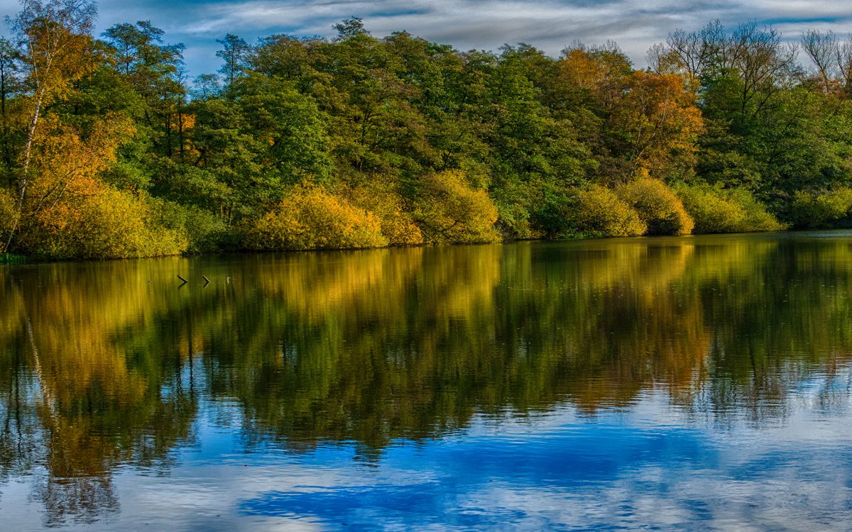 Árboles Verdes y Marrones Junto a la Masa de Agua Azul Durante el Día. Wallpaper in 2880x1800 Resolution