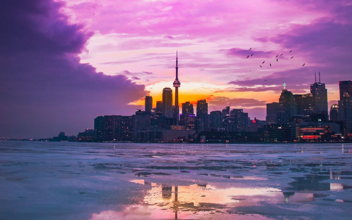 Oiseaux Survolant la Mer Près Des Immeubles de Grande Hauteur Pendant la Journée. Wallpaper in 3840x2400 Resolution