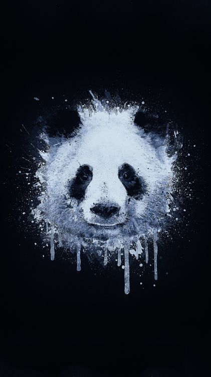 Graffitis de Panda, Graffiti, Art, Portrait, Dessin. Wallpaper in 1440x2560 Resolution