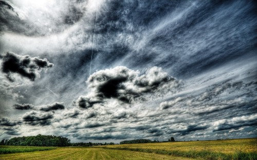 Image green grass field under gray clouds