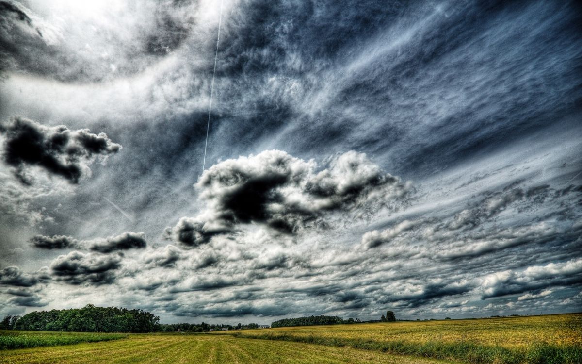 green grass field under gray clouds