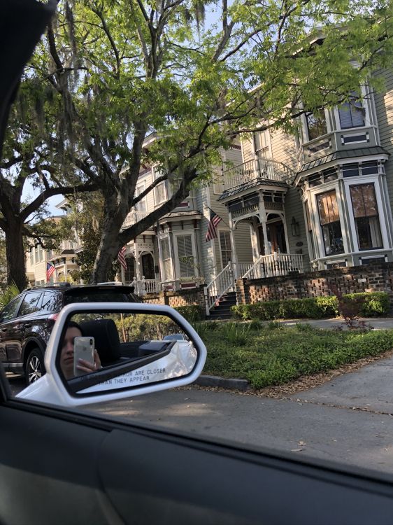 Baum, König, Kleinwagen, Mitte Größe Auto, Familienauto. Wallpaper in 1536x2048 Resolution