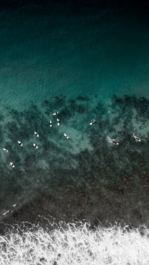 Image aerial view of people swimming on sea during daytime