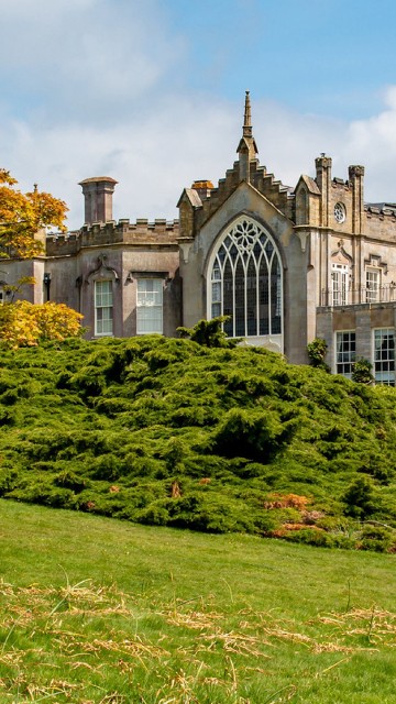 Image nature, cloud, plant, building, tree