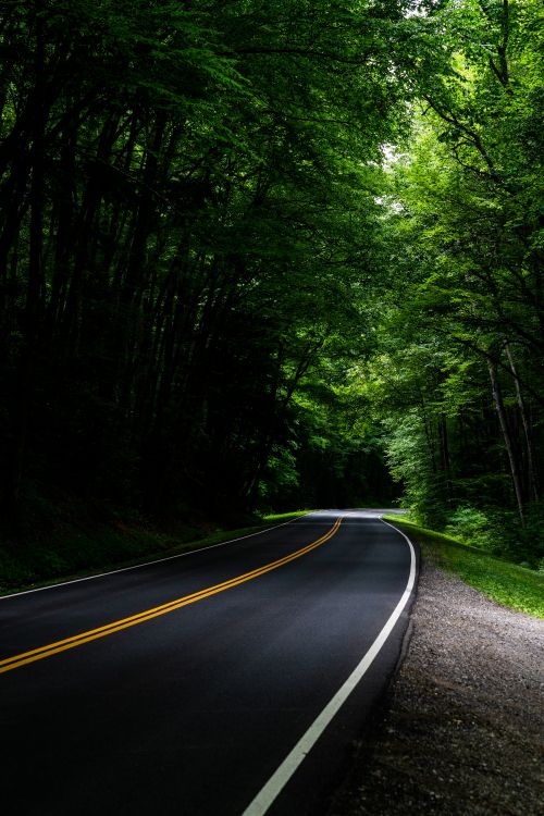 Carretera, Verde, Naturaleza, Paisaje Natural, Entorno Natural. Wallpaper in 5304x7952 Resolution