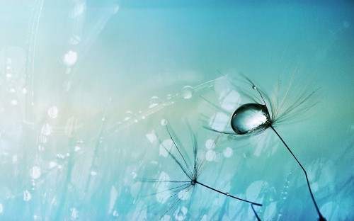 Image water dew on black framed sunglasses