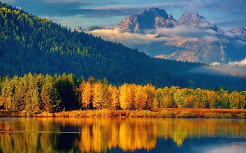 Image green and brown trees near lake under white clouds and blue sky during daytime