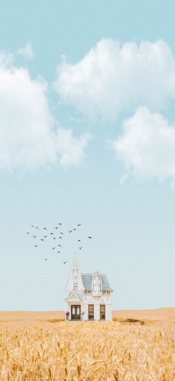 Paroles de Niall Horan, Paroles, Chanson, Tune, Oiseau. Wallpaper in 1400x3032 Resolution