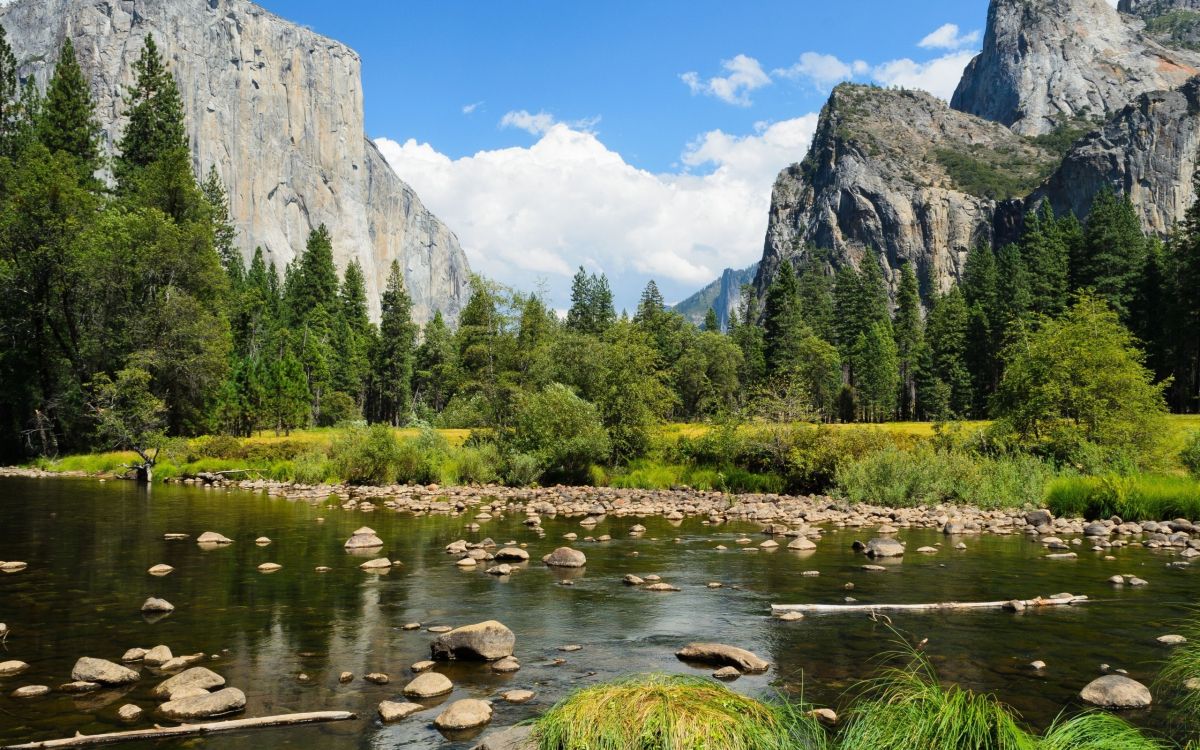 Árboles Verdes Cerca Del Lago y la Montaña Durante el Día. Wallpaper in 2560x1600 Resolution