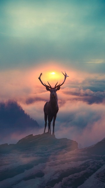 elk hunting iphone wallpaper