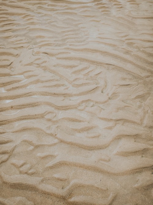 Image beige, sand, material, ecoregion, wood