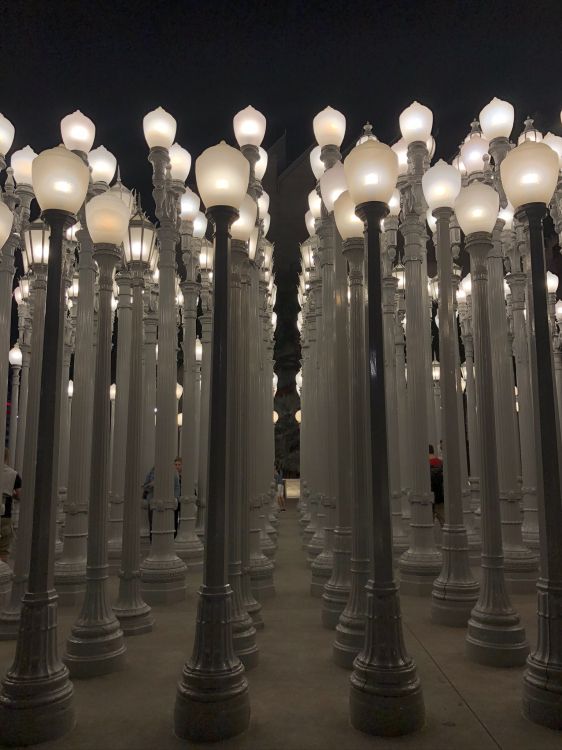 好莱坞, 灯光, 路灯, 物理学, 光 壁纸 1536x2048 允许