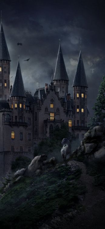 Art Fantastique Château Hanté, Jutsu, Art, Maison Hantée, Artiste. Wallpaper in 1080x2340 Resolution