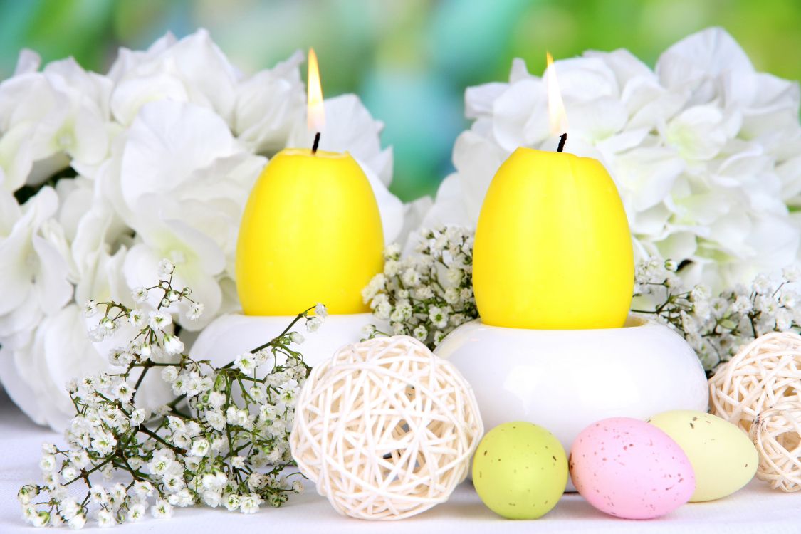 Huevo de Pascua, Amarillo, Pascua, Huevo, Arreglos Florales. Wallpaper in 4500x3000 Resolution
